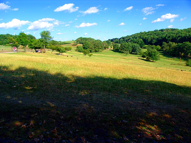 Naturwildpark Freisen